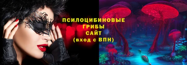 2c-b Заводоуковск