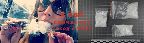 крисы Зеленокумск