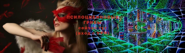 крисы Зеленокумск