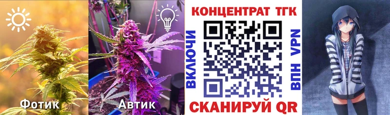 где купить наркотик  Петрозаводск  Дистиллят ТГК концентрат 