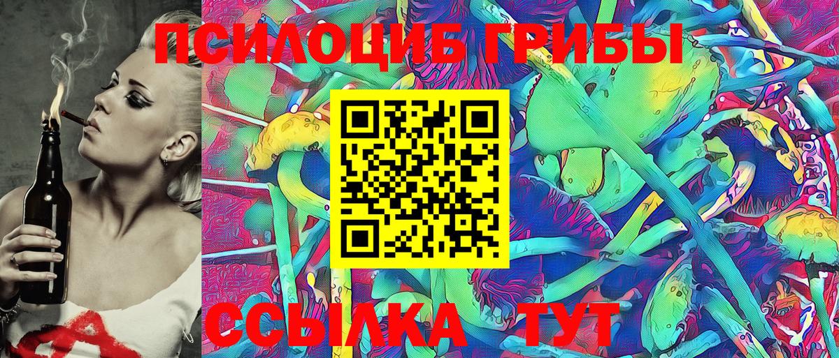 Петрозаводск  Псилоцибиновые грибы Cubensis  Вход с VPN 
