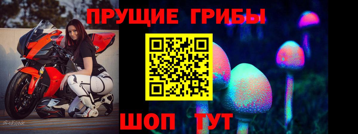 Петрозаводск  Галлюциногенные грибы Psilocybine cubensis  Галлюциногенные грибы Magic Shrooms  Вход с VPN 