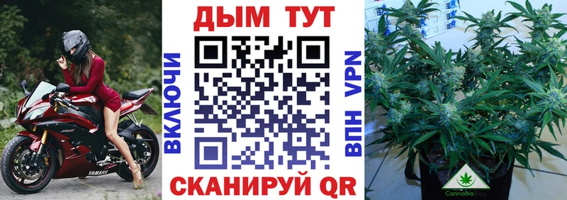 купить наркотики цена  Петрозаводск  mega маркетплейс  Шишки марихуана LSD WEED 